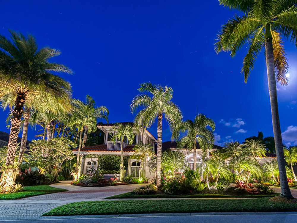 Landscape lighting